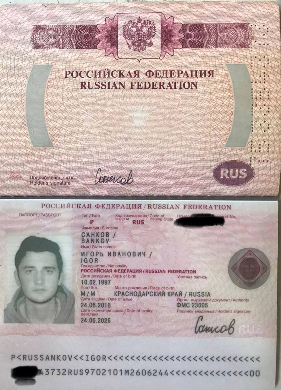 International passport
